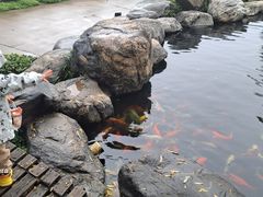 -中国唐苑