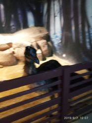 -酷嗒动物文化乐园(cutezoo西溪乐天城店)