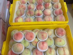 -老袁家蜜桃农场·阳山水蜜桃