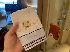 -上海佘山世茂艾美酒店