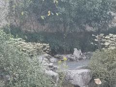 -衣裳街历史文化街区