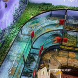 我也吃上了 真的好爱这一口波格力膏蟹！还是蒸汽蒸的！