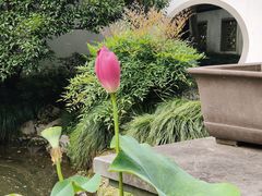 -杭州植物园