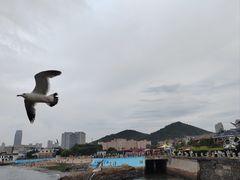 -黑石礁公园