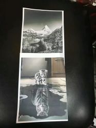 -深圳阿飞刺青