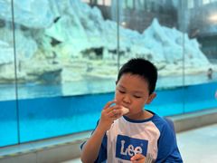 -帝企鹅自助餐厅•儿童岛•真企鹅(长隆企鹅酒店)