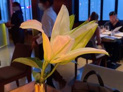 -AZUL by FUEL蓝色·法式酒馆(琶醍店)