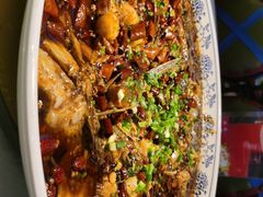 -新概念来凤鱼(璧山店)