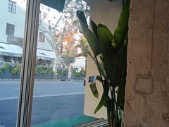 -星巴克(武康路店)