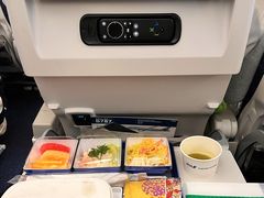 -全日本空输株式会社(上海办事处)