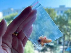 -泰康拜博口腔(世博园乐尔店)