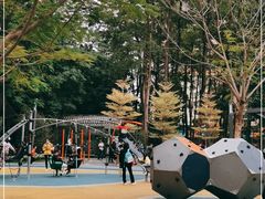 -四海公园(南山区)