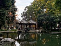 -温江公园