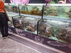 -黑土风情铁锅炖(兴业路店)