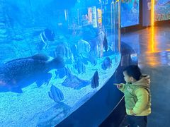 -烟台海昌鲸鲨海洋公园
