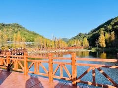 -广州市石门国家森林公园