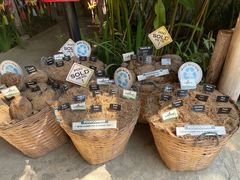 -大象粑粑造纸公园