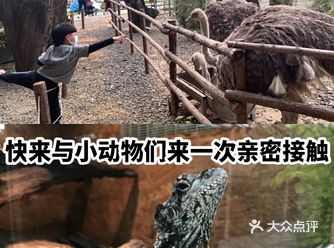 快来与小动物们来一次亲密接触