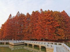 -白塘生态植物园