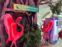 -正佳雨林生态植物园