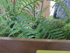 -糖糖屋•糖水•雪花冰店(时尚天河店)