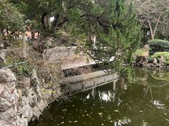 -叶家花园