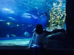-暹罗海洋世界