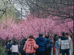 -堤角公园