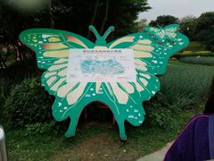 -松山湖梦幻百花洲