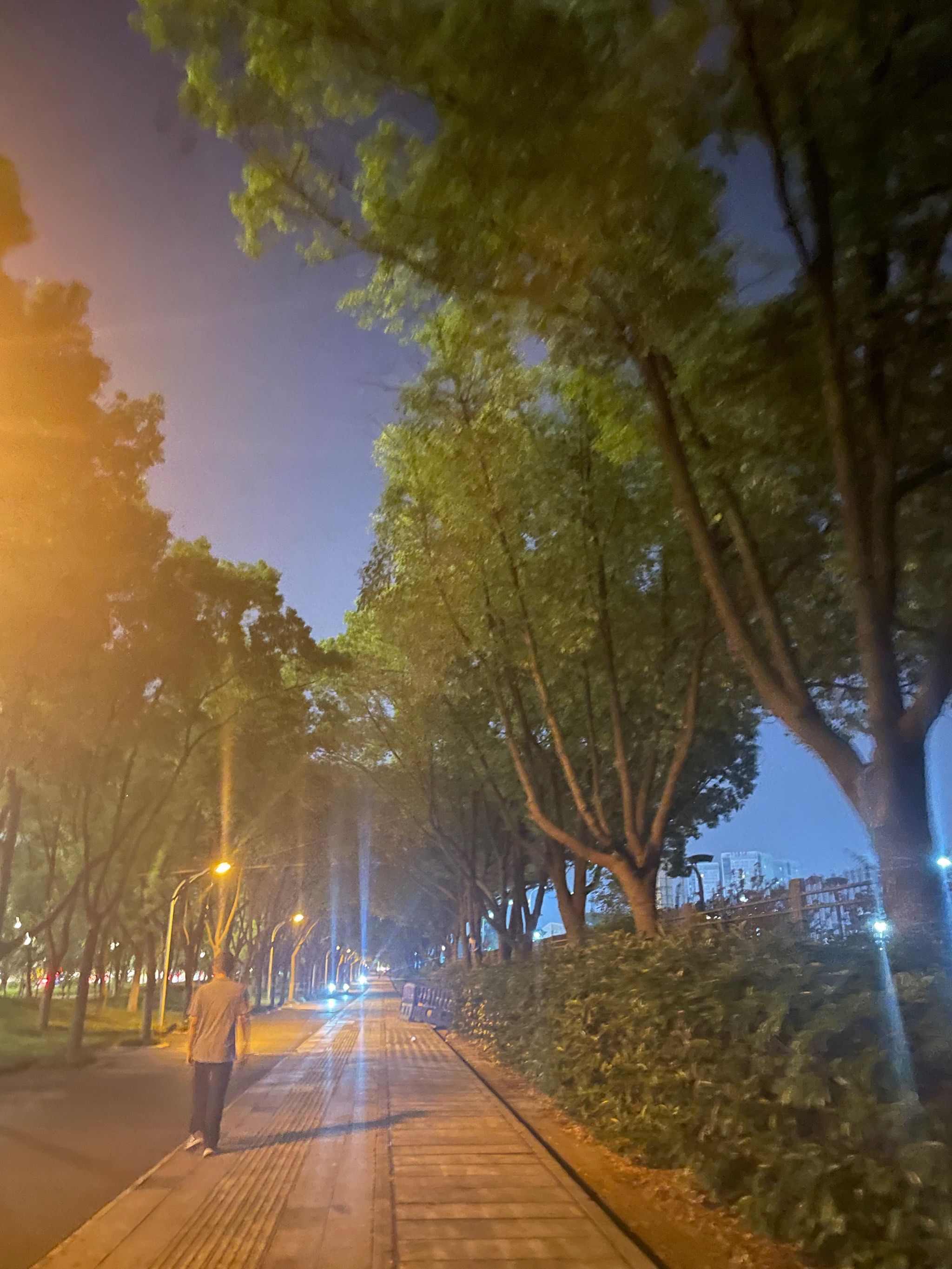 夏天夜晚,散步是标配