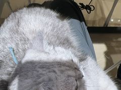 -Oasis绿洲银饰珍珠手作diy(壹方城店)