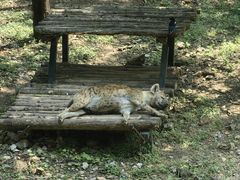 -大连森林动物园