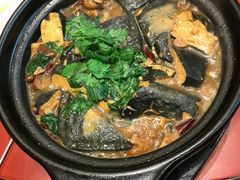 -乐和餐饮(活力源店)