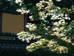 -法雨寺