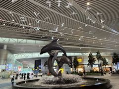 -青岛胶东国际机场