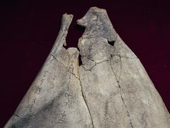 -安阳博物馆