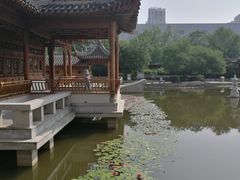 -南普公园