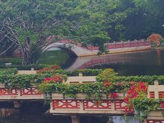 -深圳龙潭公园