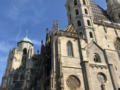 -斯蒂芬主教座堂(Stephansdom)