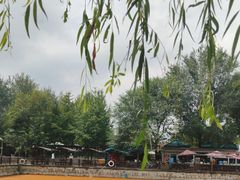 -尚庄度假村·庭台树下·户外烧烤·团建CS·轰趴营地(上庄水库店)