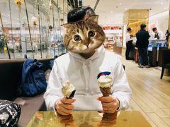 -VENCHI 闻绮(北京国贸商城店)