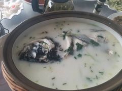 -天乐农家鱼头王(天目湖店)