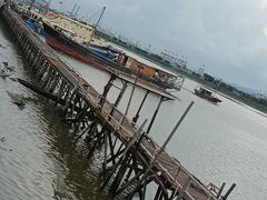-大湾区中央湿地公园-十九涌