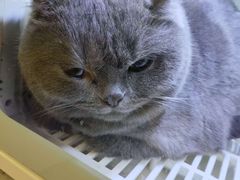 -沐沐家宠物(成寿寺店)