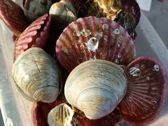 -前王院•巧克力海鲜市集餐厅(万平口店)