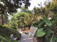 -仙岳公园
