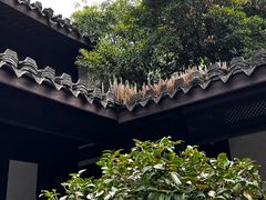 -绍兴鲁迅故里·沈园景区