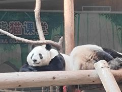-西安秦岭野生动物园