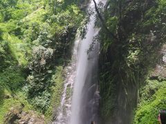 -莫里热带雨林景区