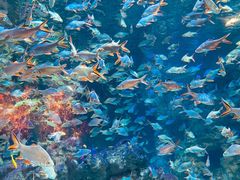 -成都浩海立方海洋公园